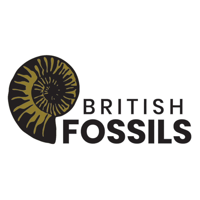 British Fossils Logo