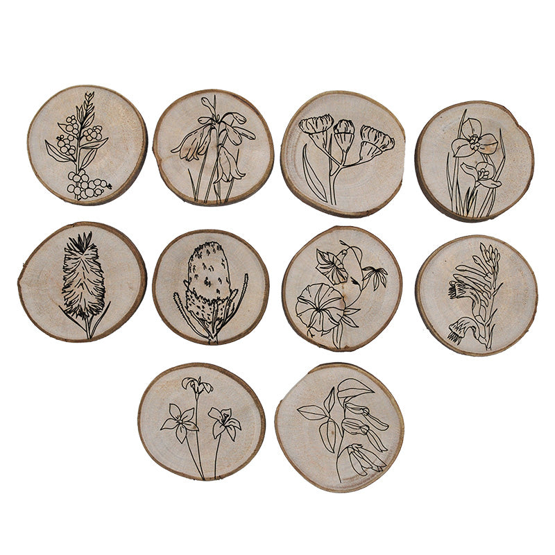 QToys Australian Flora Set of 10 Discs