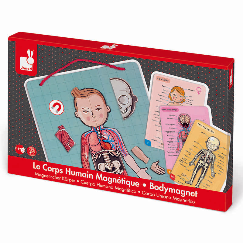 Janod Human Body Magnet Puzzle Box