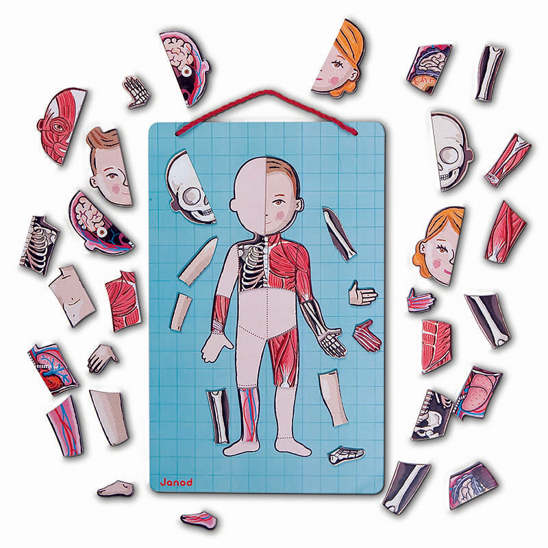 Janod  Human Body Magnet Puzzle Pieces