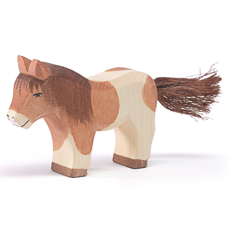 Ostheimer Shetland Pony Standing