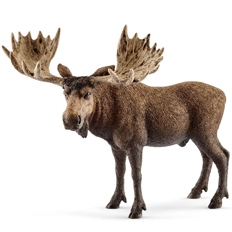 Schleich Moose Bull