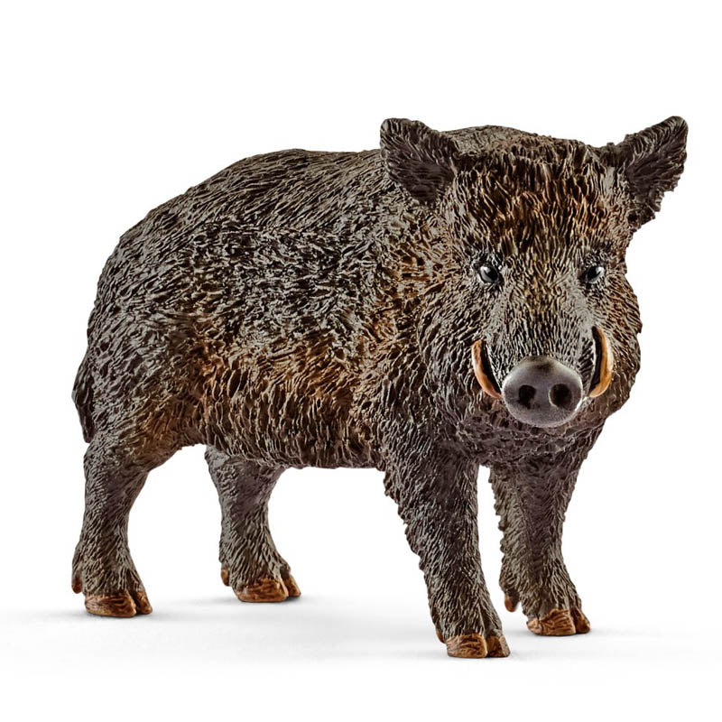 Schleich Boar