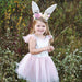 Great Pretenders Woodland Bunny Dress & Headpiece Size 3-6  2