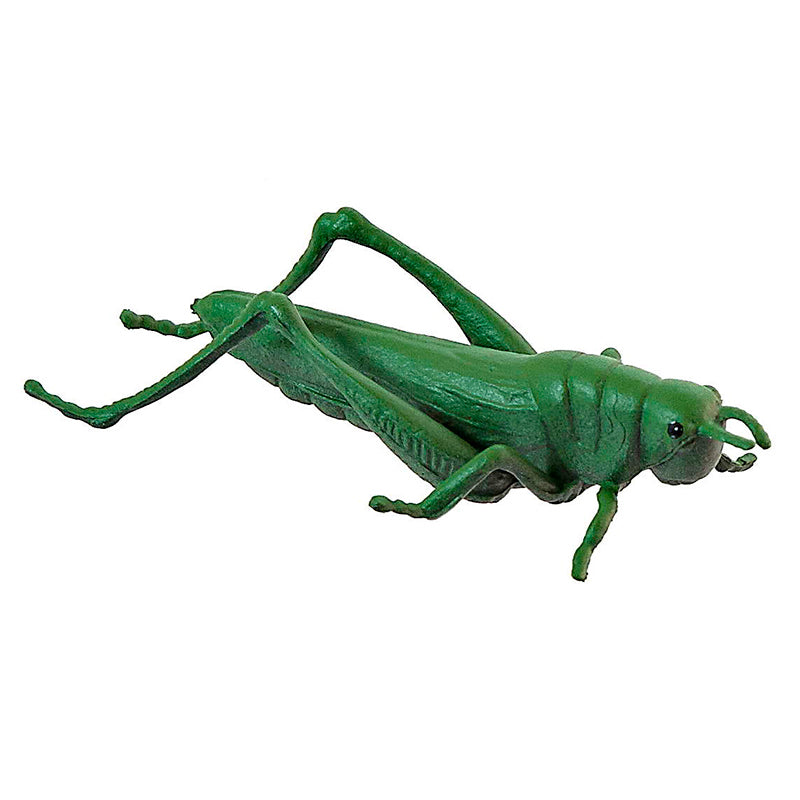 Miniland Insects 12 Pieces Grasshopper