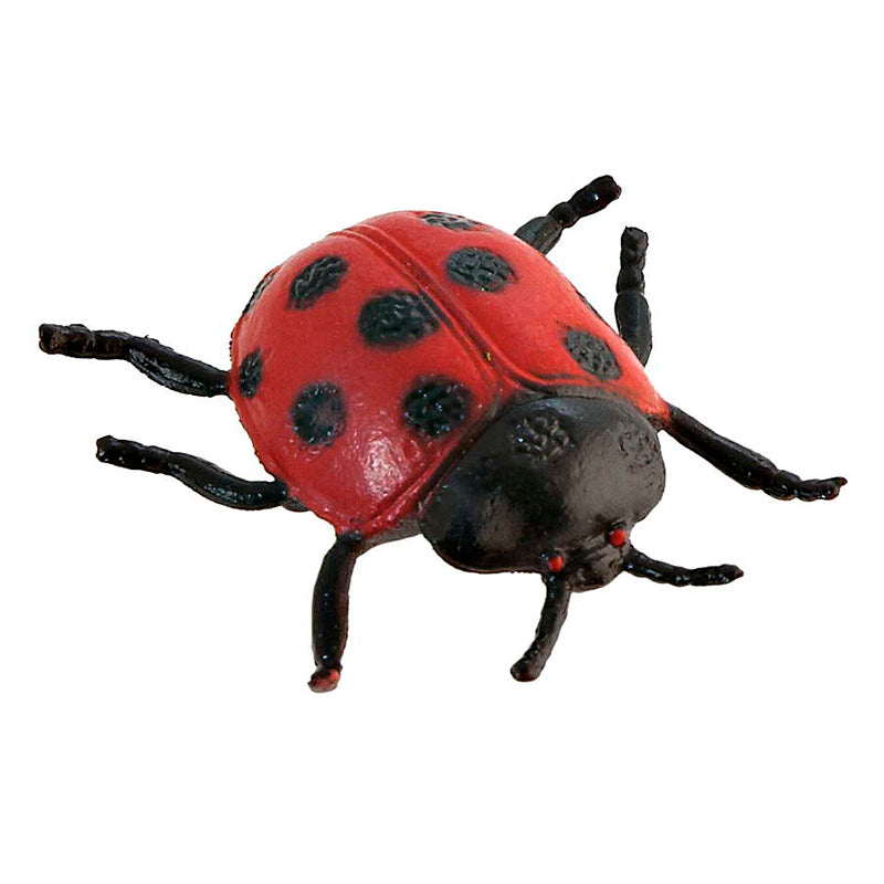 Miniland Insects 12 Pieces Ladybug