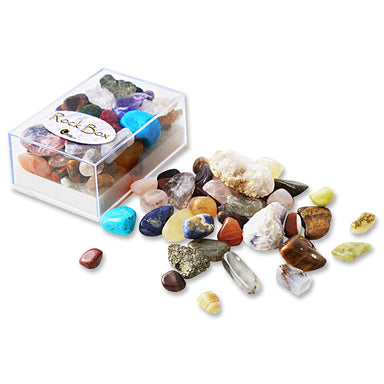 British Fossils Rocks and Minerals in a Box