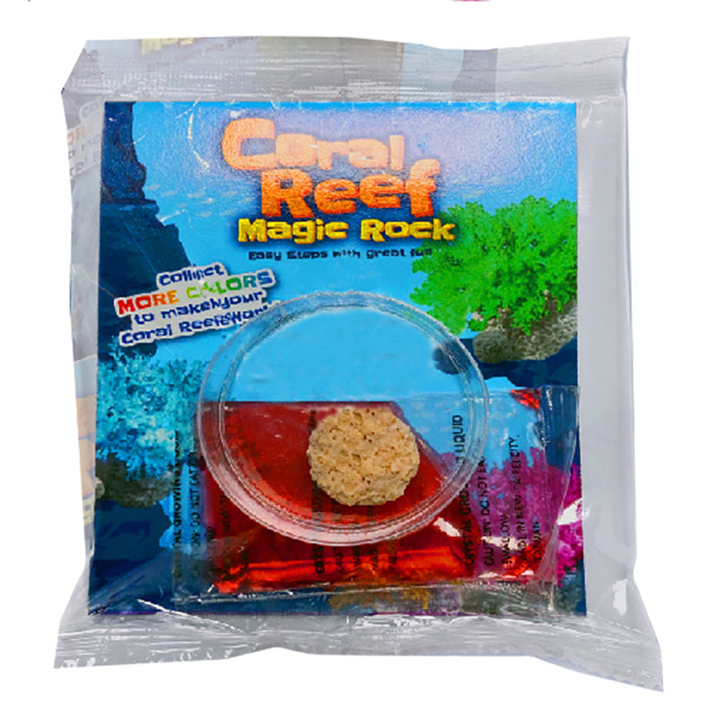 Science & Nature Coral Reef Magic Rock