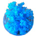 Science & Nature Coral Reef Magic Rock Blue