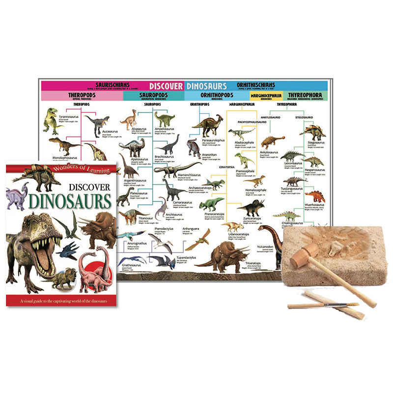 Wonders of Learning Discover Dinosaurs Educational Tin Set