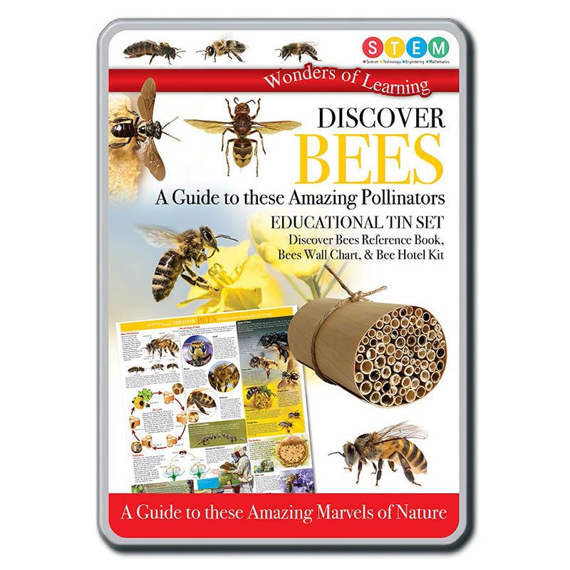 Discover Bees Educational Tin Set Front