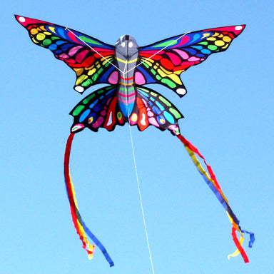 Rainbow Butterfly Kite