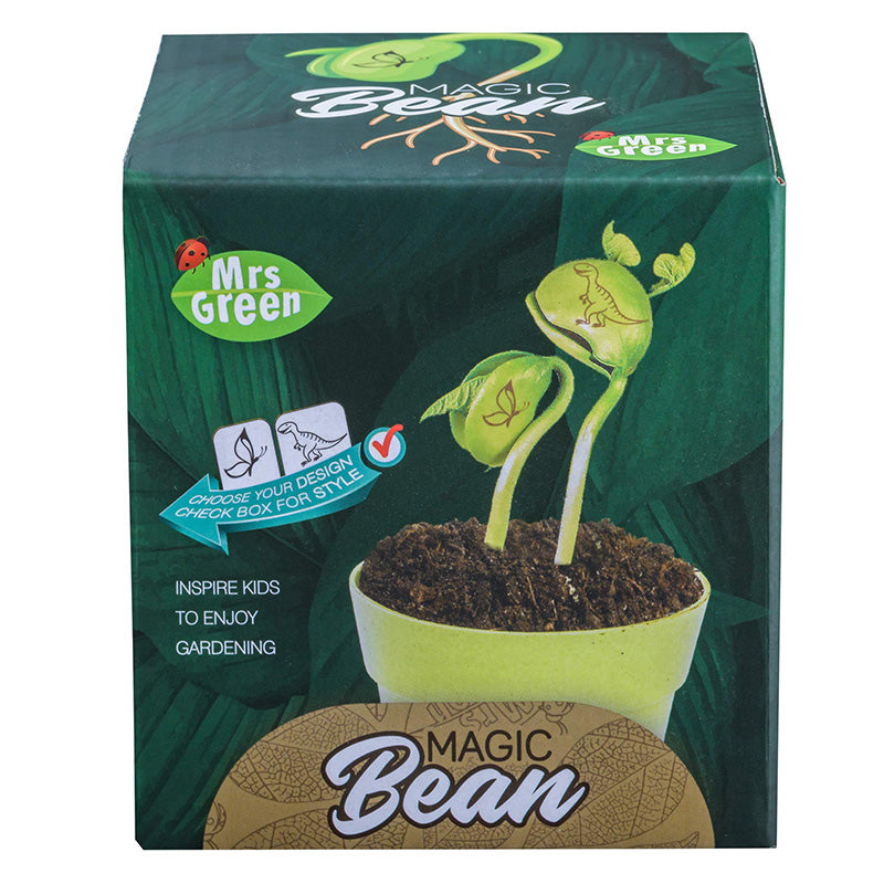 Mrs Green Magic Bean Box 