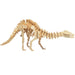 Heebie Jeebies Apatosaurus Dinosaur 3D Wood Kit