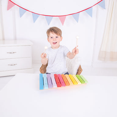 Bigjigs Coloured Xylophone Boy Playing