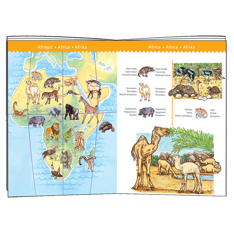 Djeco Observation Puzzle World Animals 100 piece Poster