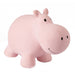 Tikiri Rubber Hippo Sealed Bath Toy