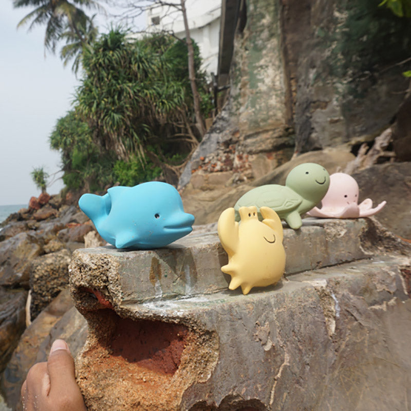 Tikiri Rubber Dolphin Sealed Bath Toy Rocks