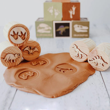 Dinosaur Playdough Stamps 5pc 2