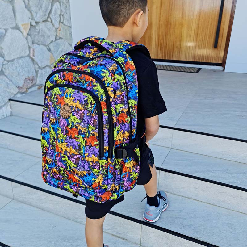 Alimasy Dinosaur Kids Large Backpack Boy