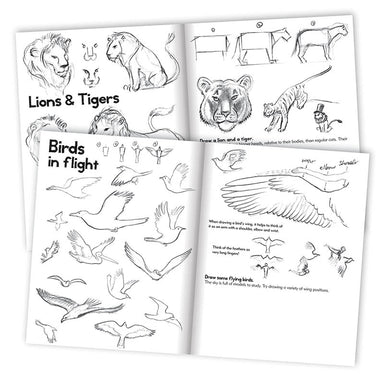 Eeboo Learn to Draw Animals 