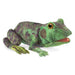 Folkmanis Frog Lifecycle Puppet 1