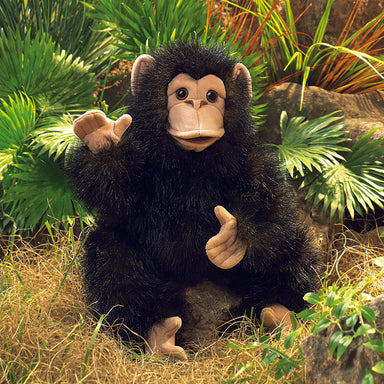 Folkamanis Baby Chimpanzee Hand Puppet Outside