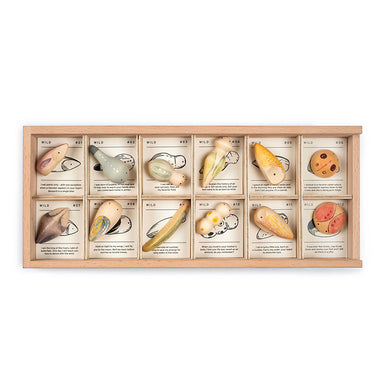 Grapat Wild Wooden Play Set
