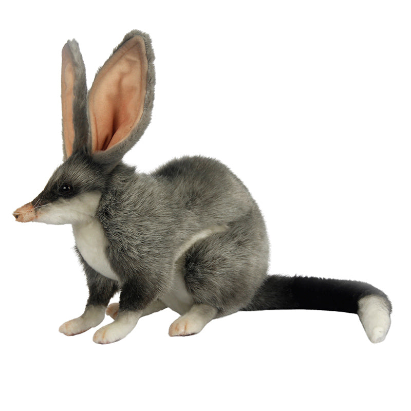 Bilby Plush Toy 30cm