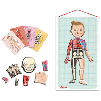 Janod  Human Body Magnet Puzzle Contents