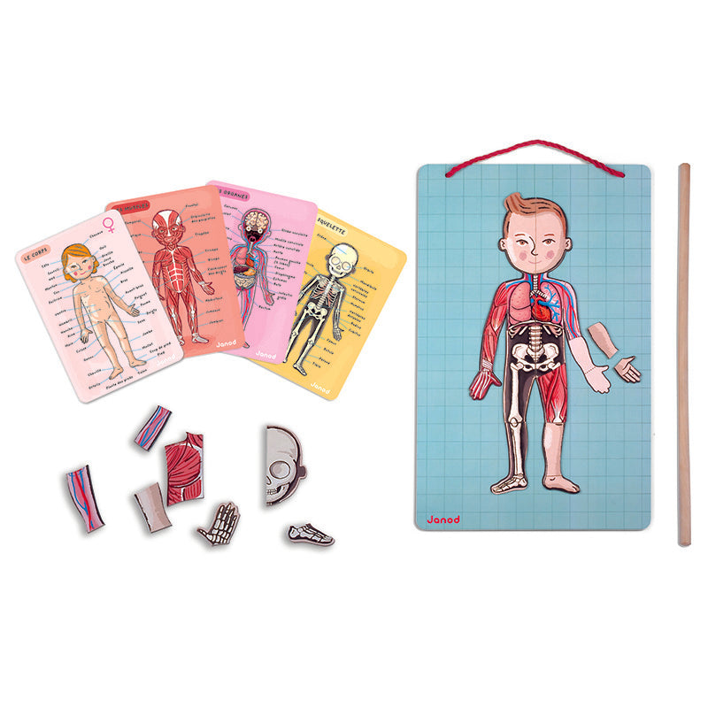 Janod  Human Body Magnet Puzzle Contents 2