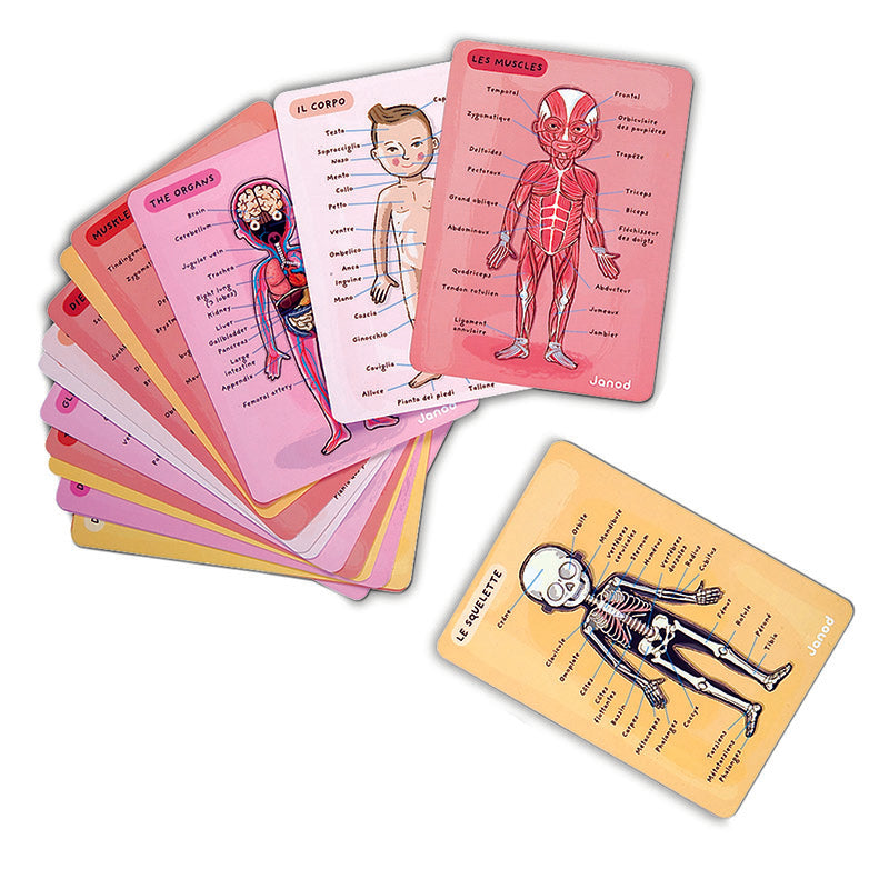 Janod  Human Body Magnet Puzzle Cards