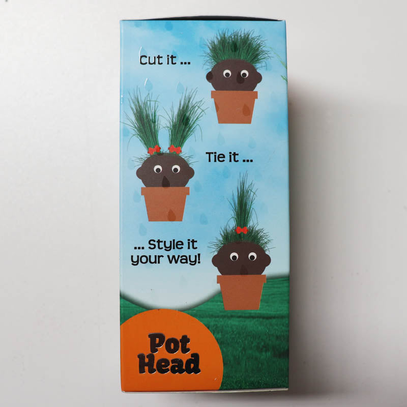 Mrs Green Pot Head Plant Packaging 2