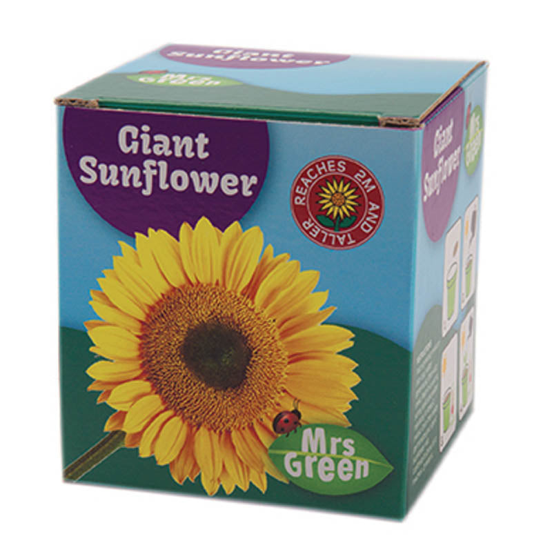 Mrs Green Giant Sunflower Packaging