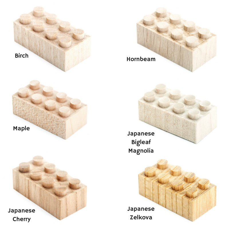 Mokulock Wooden Building Bricks 24 Piece Set Woods