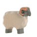 Ostheimer Moorland Ram