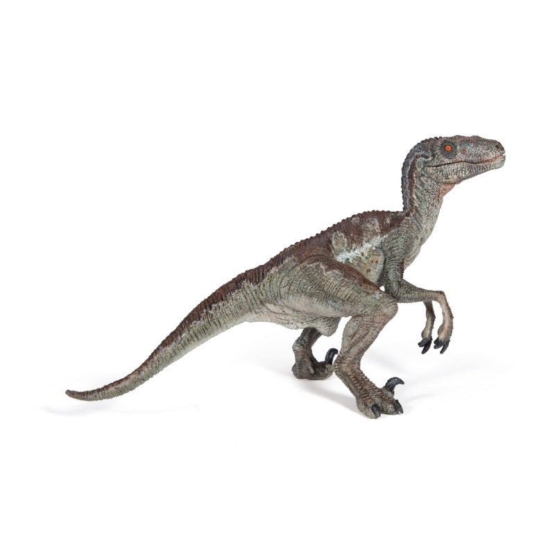 Papo Velociraptor 55023