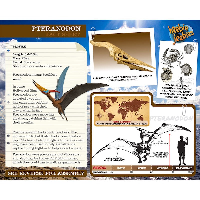 Heebie Jeebies Pteranodon Dinosaur 3D Wood Kit 2