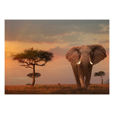 Ravensburger Elephant Of The Massai Mara 1000 Piece Puzzle 
