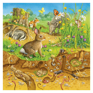 Ravensburger Animals In Their Habitats 3 x 49 Piece Puzzle Rabbit