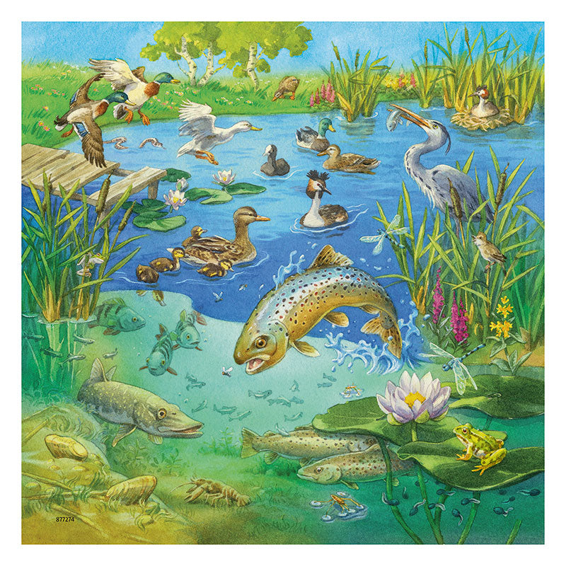 Ravensburger Animals In Their Habitats 3 x 49 Piece Puzzle Water