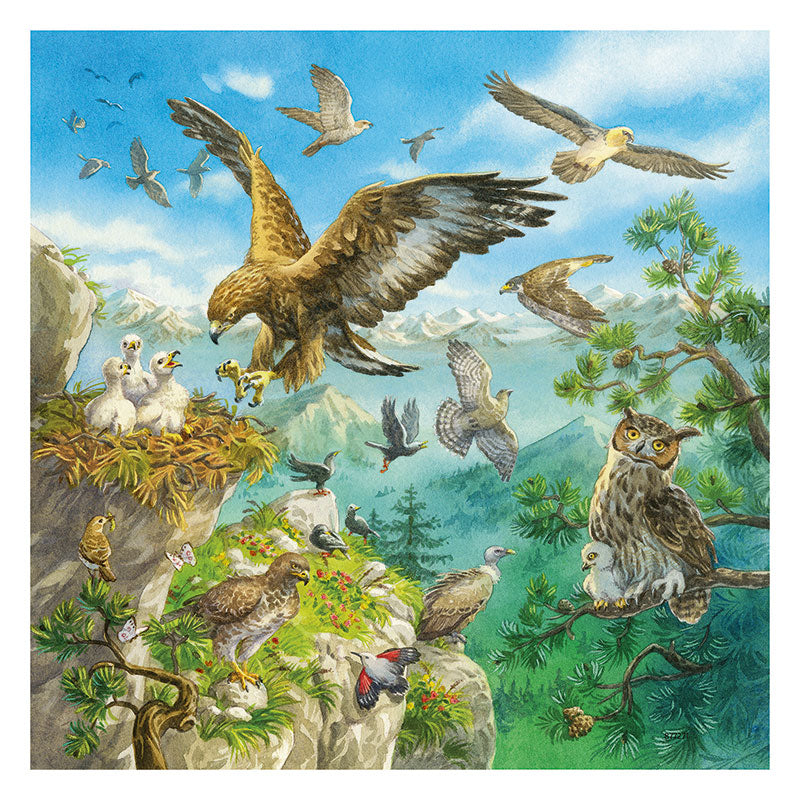 Ravensburger Animals In Their Habitats 3 x 49 Piece Puzzle Birds