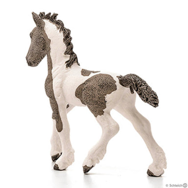 Schleich Tinker Foal Back View