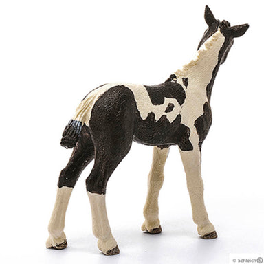 Schleich Pinto Foal Back View