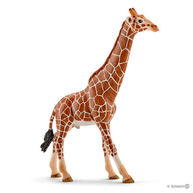 Schleich Giraffe Male