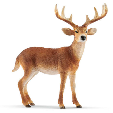 Schleich White-tailed Buck