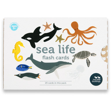 Two Little Ducklings Sea Life Flash Cards Front Cover