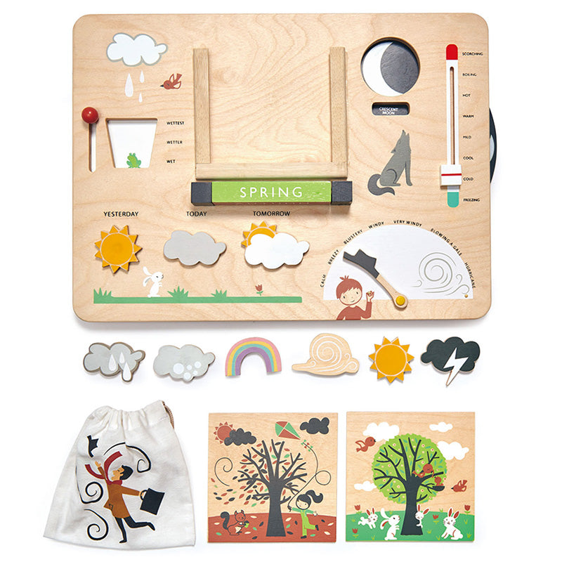 Tender Leaf Toys Wooden Weather Station Contents