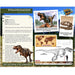Heebie Jeebies Tyrannosaurus Dinosaur 3D Wood Kit 2