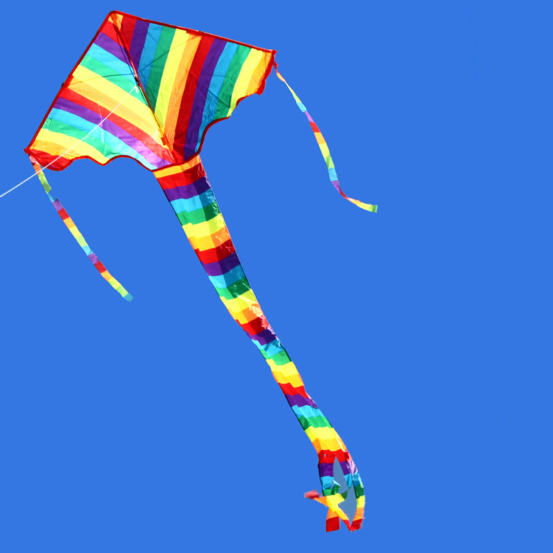 Windspeed Kites Rainbow Delta Kite
